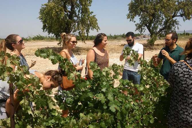 Private Wine Tour with Wine Tasting and Full Lunch (day trip) - Key highlights worth circling
