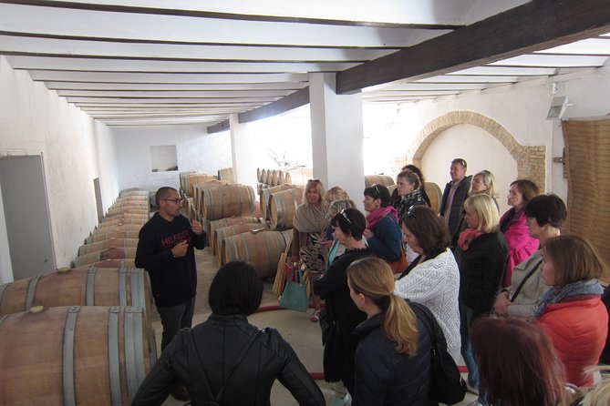Private Wine Tour with Wine Tasting and Full Lunch (day trip) - The lunch break: a three-course meal built for this wine region