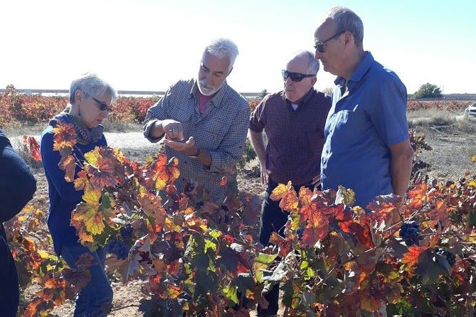 Private Wine Tour with Wine Tasting and Full Lunch (day trip) - What you learn from tasting Utiel-Requena wines (and why it lasts)