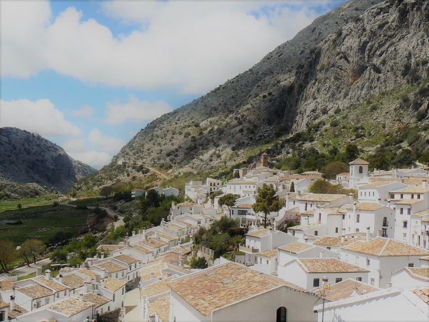Pueblos Blancos & Ronda: Private Full-Day Tour from Seville - White Villages plus real nature: the best kind of Seville escape