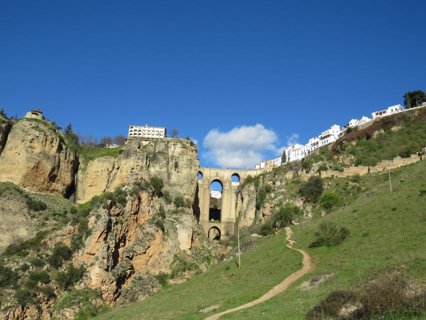 Pueblos Blancos & Ronda: Private Full-Day Tour from Seville - Cork-oak country on the way to Ronda: where work still shapes the hills