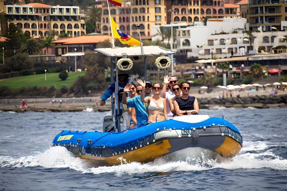 Puerto Colon: Dolphin and Whale Watching Speedboat Tour - Puerto Colón Speedboat: why this format feels more personal