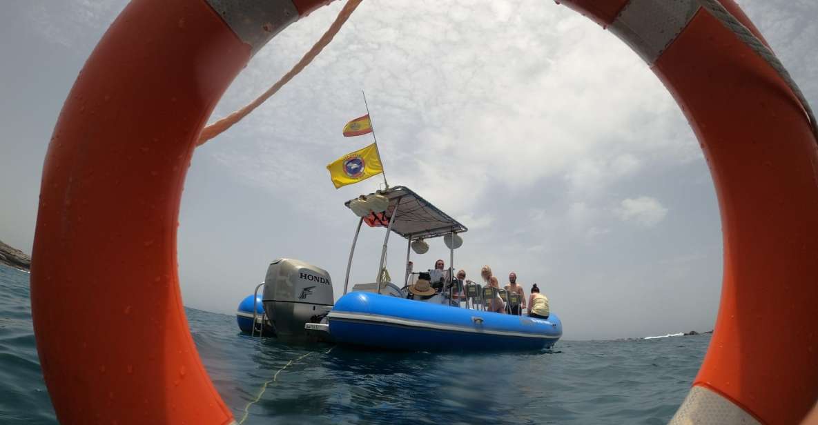Puerto Colon: Dolphin and Whale Watching Speedboat Tour - Barco Azul and small-group viewing: safety and animal etiquette in practice