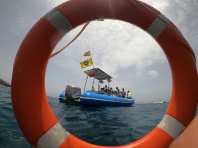 Puerto Colon: Dolphin and Whale Watching Speedboat Tour - The Atlantic run: what you might see and how close you can get