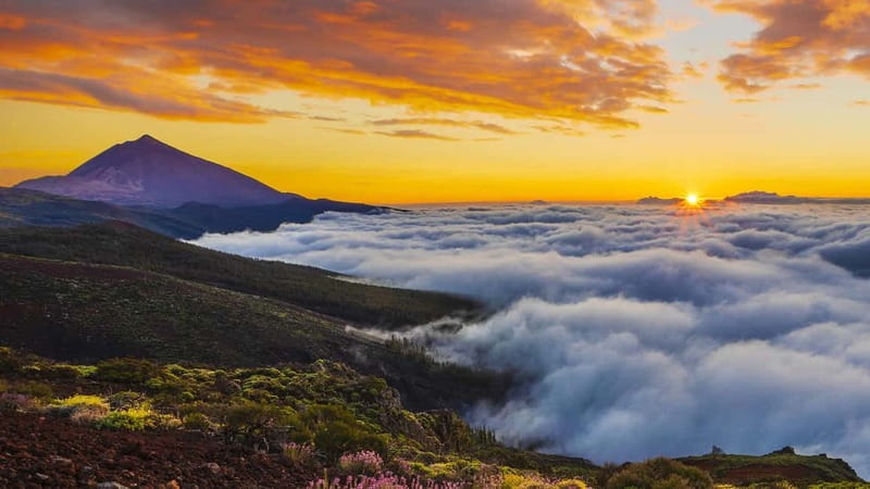 Puerto Cruz: VIP Teide Sunset & Stars, Guachiche Lunch+Cava - Price, timing, and the stuff that affects your comfort