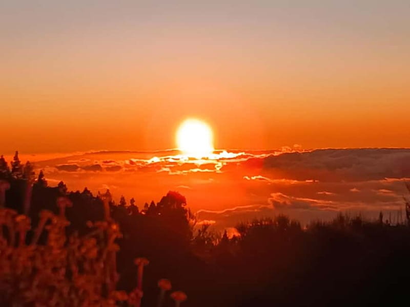 Puerto Cruz: VIP Teide Sunset & Stars, Guachiche Lunch+Cava - El Portillo Visitor Center: coffee break before the stars
