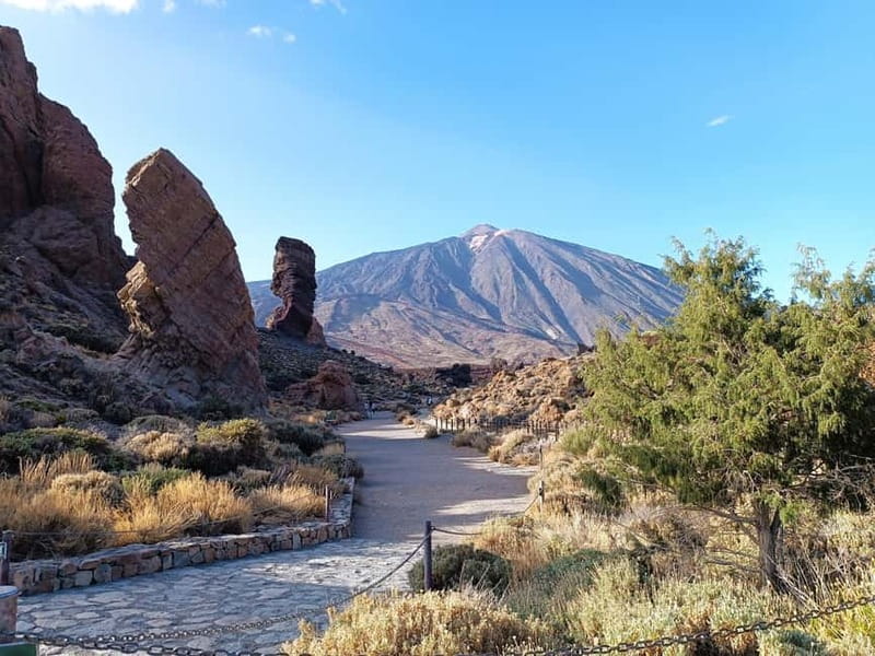 Puerto Cruz: VIP Teide Sunset & Stars, Guachiche Lunch+Cava - Small-group value from Puerto de la Cruz pickup to drop-off