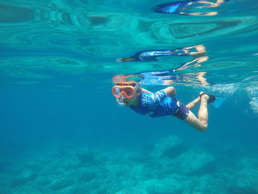 Puerto de Mogan: Boat and Snorkeling Trip - Lunch on board: potatoes with mojo, Spanish omelette, and vegetarian-friendly choices