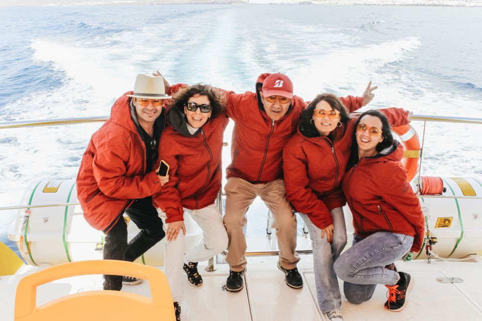 Puerto del Carmen: Dolphin-Watching Speedboat Tour with Swim - Price, reviews, and whether this tour feels worth it