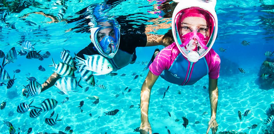 Puerto del Carmen: Dolphin-Watching Speedboat Tour with Swim - Where You Start in Puerto del Carmen (and how to not waste time)