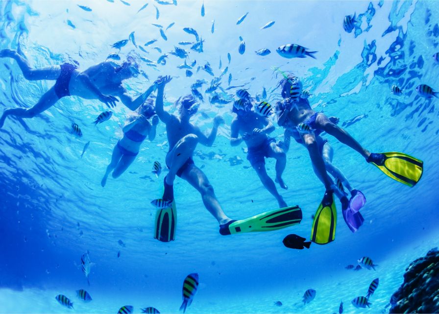 Puerto del Carmen: Dolphin-Watching Speedboat Tour with Swim - What’s Included in 1.5 Hours (and what you’ll pay for yourself)