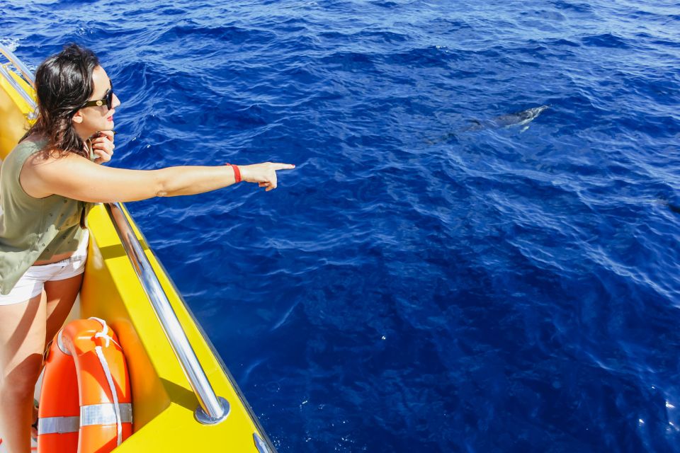 Puerto del Carmen: Dolphin-Watching Speedboat Tour with Swim - Who should book this dolphin-watching swim tour (and who shouldn’t)