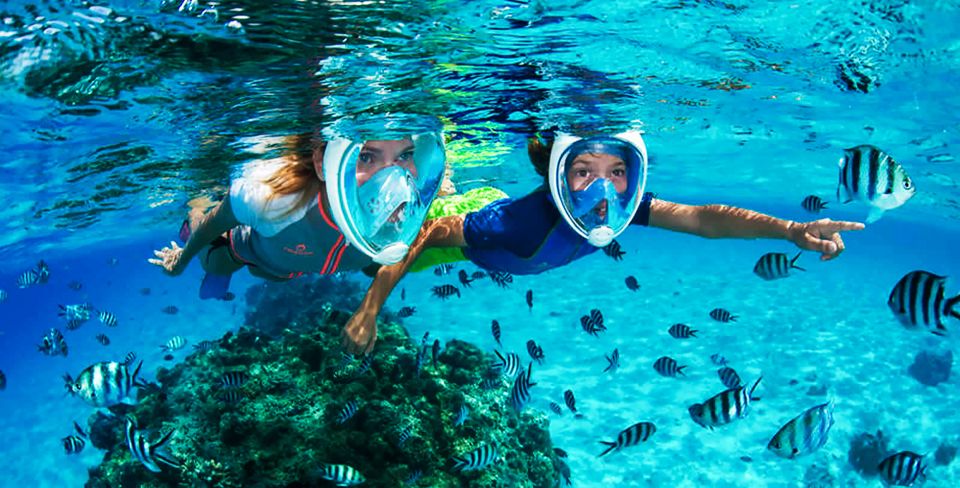 Puerto del Carmen: Dolphin-Watching Speedboat Tour with Swim - Tips that actually help: what to bring and how to dress