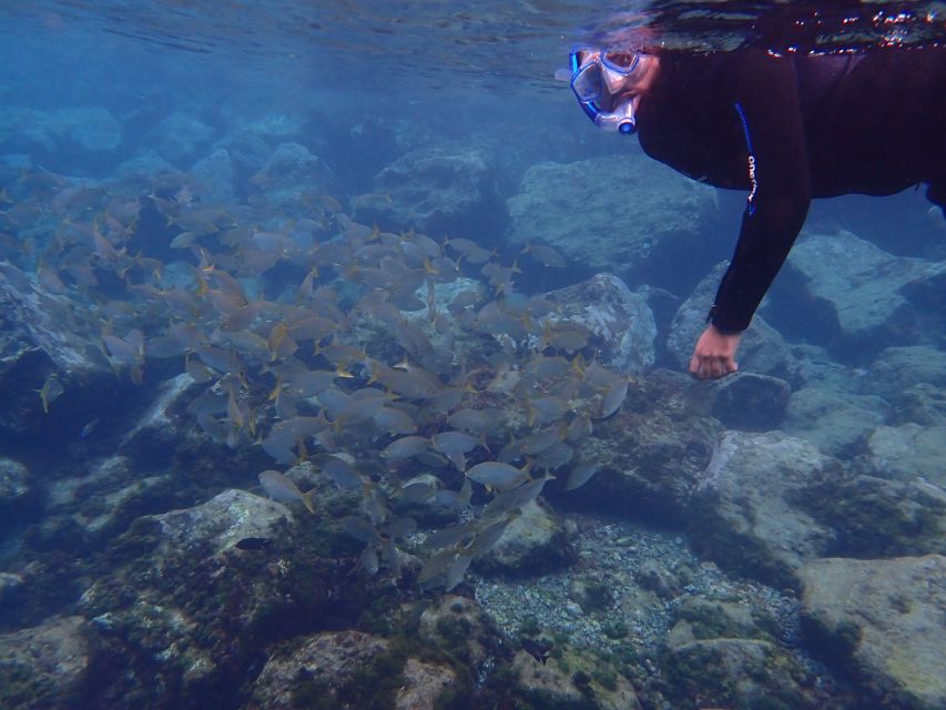 Puerto del Carmen: Snorkeling Trip with Dive Instructor - Before you arrive: what to pack and what happens after booking