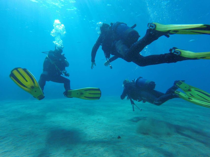 Puerto del Carmen: Try Scuba Diving for Beginners - The Underwater Portion: Calm Water, Clear Views, and 30–40 Minutes