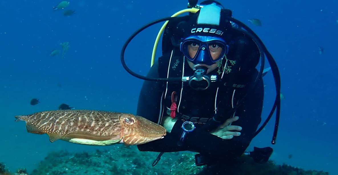 Puerto Del Carmen: Try Scuba Diving with 2 Dives and Photos - Key points worth knowing