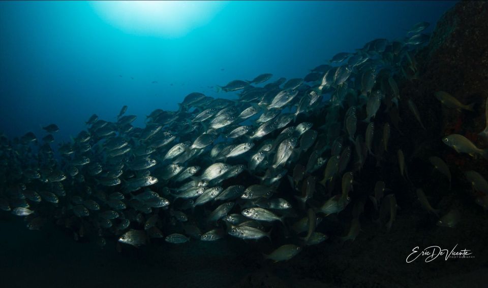 Puerto Del Carmen: Try Scuba Diving with 2 Dives and Photos - Playa Chica in Puerto del Carmen: where this starts