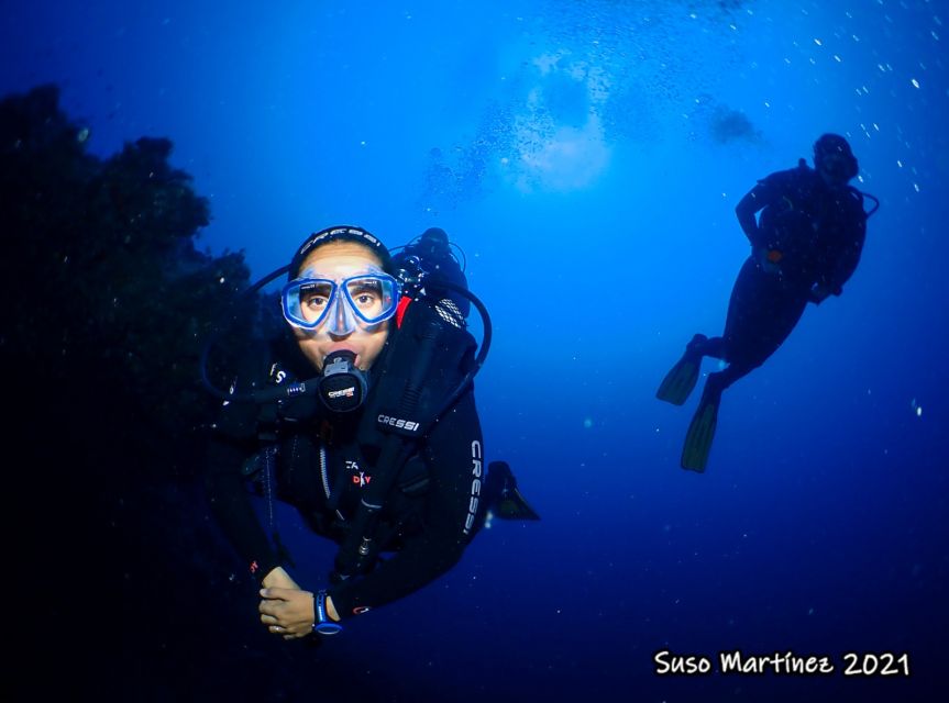 Puerto Del Carmen: Try Scuba Diving with 2 Dives and Photos - The 12-metre second session: more wildlife, more time
