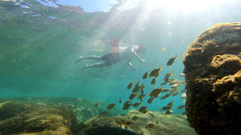 Puerto Mogán: Guided Adventure Kayak Tour in Caves & Snorkel - Key Things That Make This Kayak + Cave Tour Different