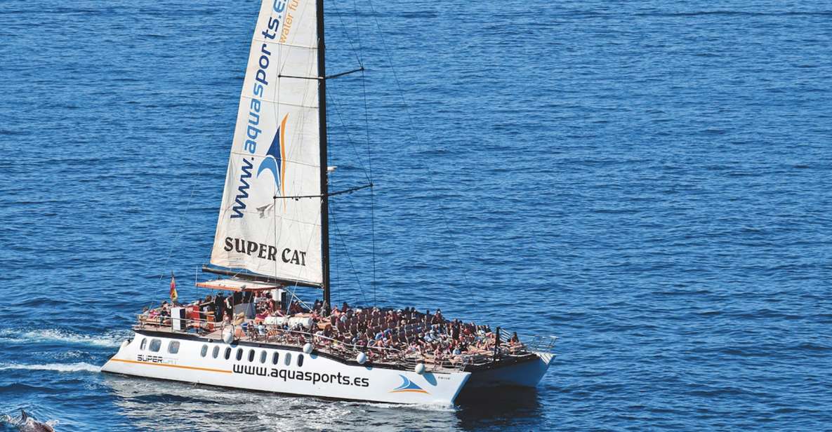 Puerto Rico : 2 hour Dolphin Catamaran Excursion - Key highlights you’ll care about