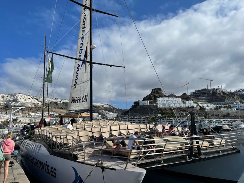 Puerto Rico : 2 hour Dolphin Catamaran Excursion - Small tips to improve your odds of a great sighting