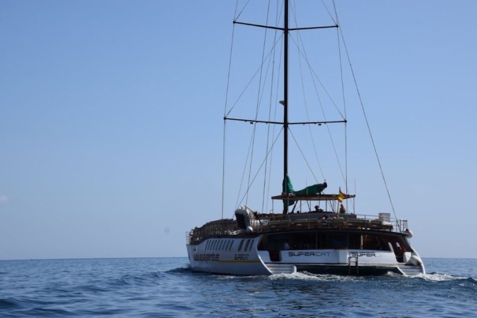 Puerto Rico : 2 hour Dolphin Catamaran Excursion - Where you start in Puerto Rico, and what that means for your day