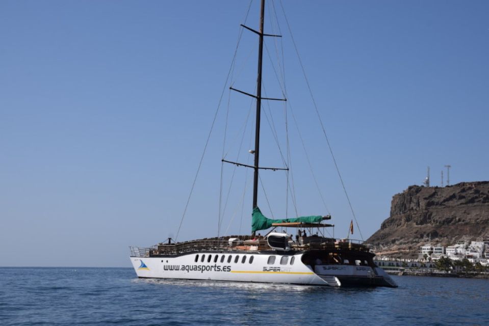 Puerto Rico : 2 hour Dolphin Catamaran Excursion - What you’re looking for: dolphins, turtles, flying fish, and whales