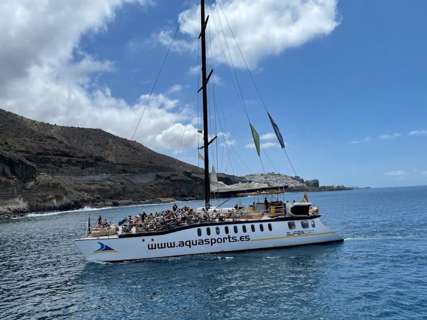 Puerto Rico : 2 hour Dolphin Catamaran Excursion - Sea-sickness and sun: the two things that can make or break a boat day