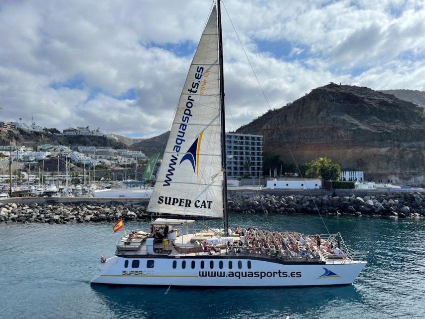 Puerto Rico : 2 hour Dolphin Catamaran Excursion - What the itinerary feels like in real life (and what to expect)