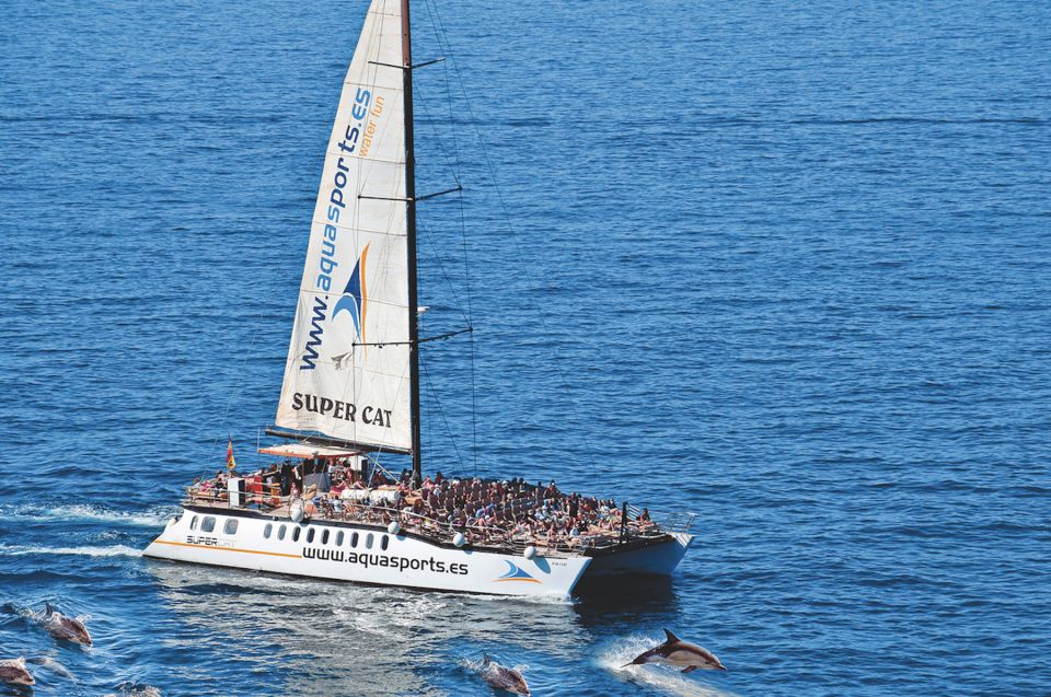 Puerto Rico : 2 hour Dolphin Catamaran Excursion - The catamaran ride: comfortable, sunlit, and easy-going