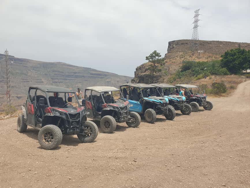 Puerto Rico de Gran Canaria: Offroad Buggy Tour - Who should book this buggy tour, and who should skip it