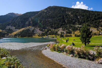 Pyrenees & Medieval Towns Small Group Tour from Barcelona - The Montseny Natural Park drive: a view lesson on the way north