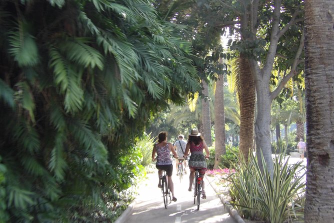 Rent a City Bike: Full Day 24 hours - What’s included (and what you’ll need to bring)