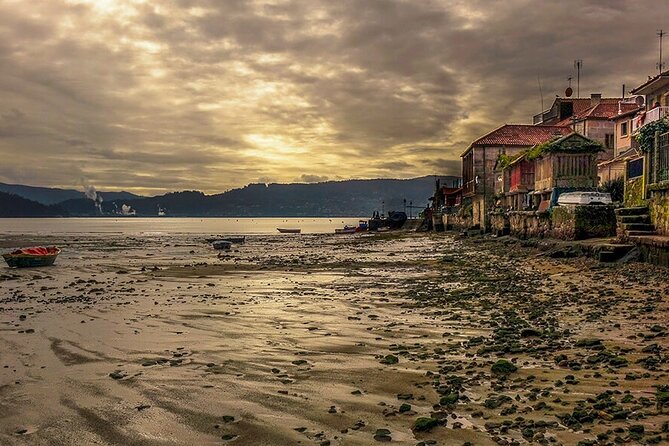 Rías Baixas Tour - O Grove Coastline Walk: Guided Views Then Real-Time Food Choices
