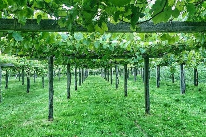 Rías Baixas Tour - Combarro’s Horreos Area: Photo-Worthy, Often Time-Compressed