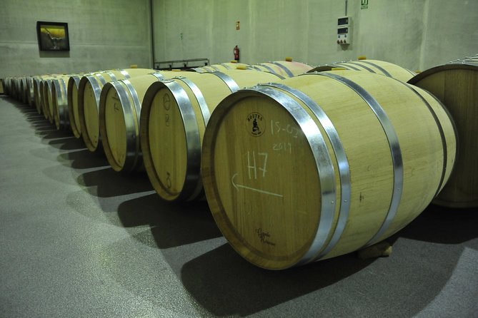 Ribera del Duero Wineries Guided Tour & Wine Tasting from Madrid - Stop 1 in Ribera del Duero: your Tempranillo crash course begins with real production