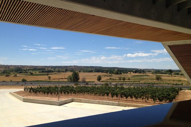 Ribera del Duero Wineries Guided Tour & Wine Tasting from Madrid - Sotillo de la Ribera: modern winery architecture right next to the vines
