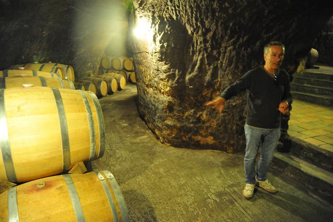 Ribera del Duero Wineries Guided Tour & Wine Tasting from Madrid - Back toward Madrid: how to plan the last stretch of your evening