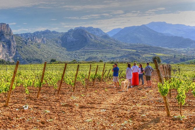 Rioja Like A Native Wine Tour - Key moments that make this Rioja tour worth it