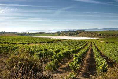 Rioja Wine Tour: 2 Wineries From Bilbao - Bilbao pickup and the scenic ride south