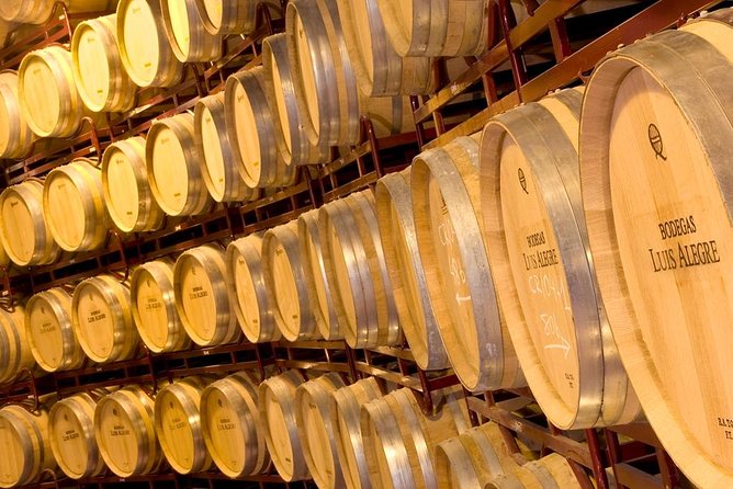 Rioja Wine Tour: 2 Wineries From Bilbao - The included 5-wine tasting: what you actually learn