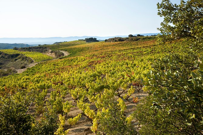 Rioja Wine Tour: 2 Wineries From Bilbao - Price and value: is $290.25 per person reasonable?