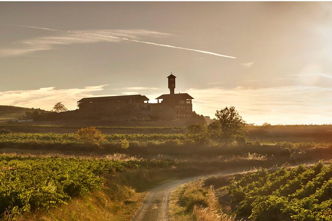 Rioja Wine Tour: 2 Wineries Visit with Tasting from San Sebastian - Stop 2 in La Rioja: the shorter bodega stop