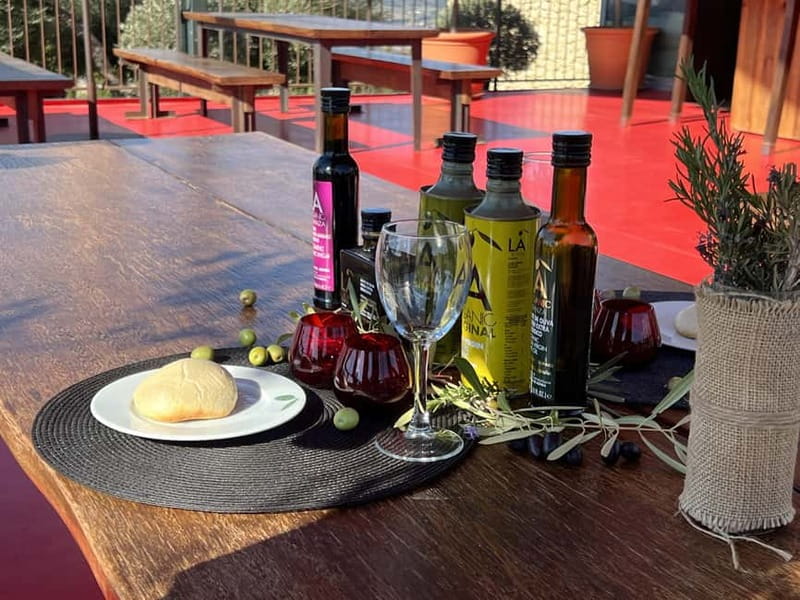 Ronda: LA Almazara LA Organic, Olive Oil Museum and Tasting - Philippe Starck Architecture Meets Real Olive Oil Work