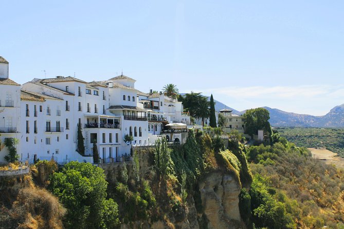 Ronda Private Tour from Seville - Plaza de Toros de Ronda: One Hour Inside the Bullring