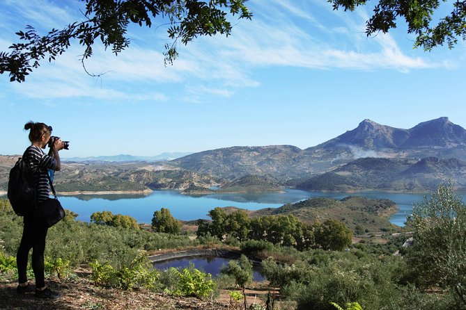 Ronda Private Tour from Seville - Transport, Pickup, and Meeting Point: Where Your Day Starts