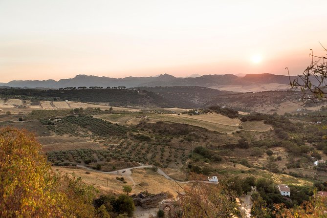 Ronda Village Guided Tour from Costa del Sol - Guide Quality and Language Mix: what to watch for