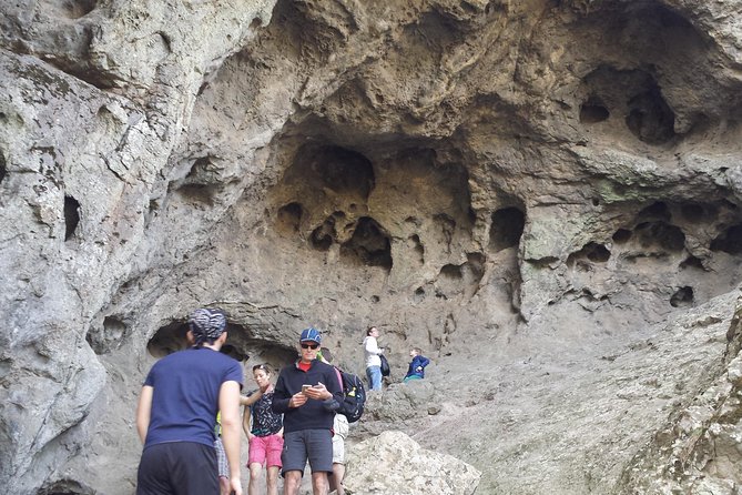 Roque Nublo: hiking on volcanoes with Sky Rebels - Stop 1: Barranco de Fataga and Its 1,000 Palms Valley Feel