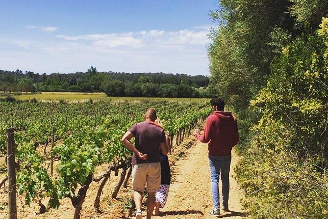 Sa Clasta Mallorca Wine Tours - Hotel-to-winery comfort: pickup and small-group style