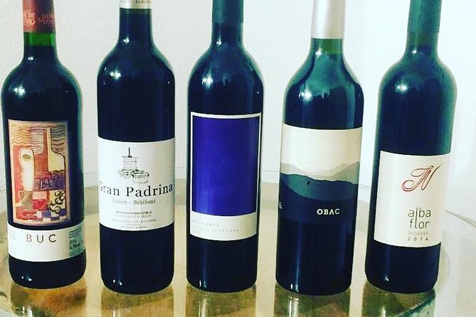 Sa Clasta Mallorca Wine Tours - Stop two: micro-vineyard views and the payoff factor